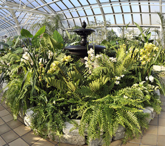Flowers and plants in Franklin Park Conservatory in Columbus, Ohio