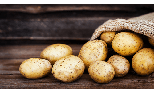 Bag of yellow potatoes spilling onto table surface Bag of yellow potatoes spilling onto table surface