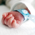 Newborn baby's hand with hospital bracelet on wrist