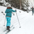 Family cross country skiing in snowy forest