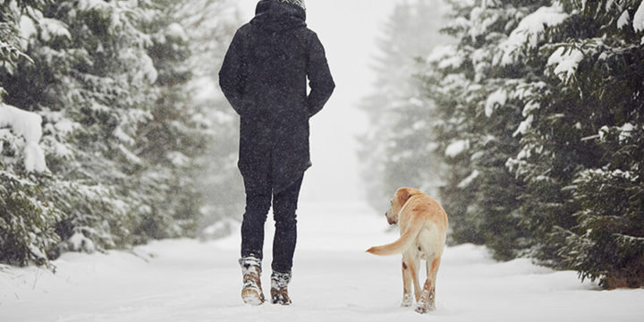 Person walking in the snow with a dog walking by their side
