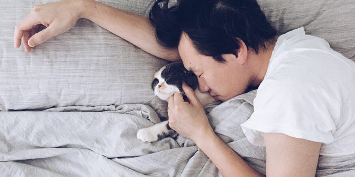 Person sleeping in bed next to small animal
