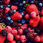 Closeup of a variety of berries
