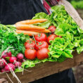 Person holding wooden container full of vegetables just picked from a garden