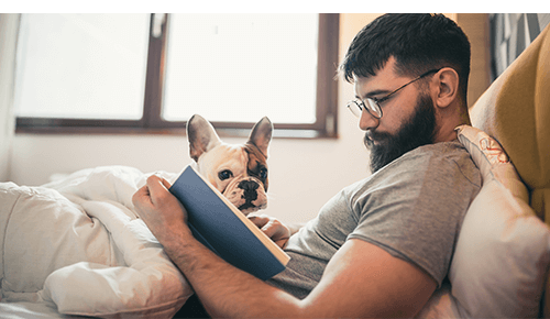 Person reading in bed with dog by their side Person reading in bed with dog by their side