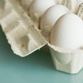 Carton full of white eggs