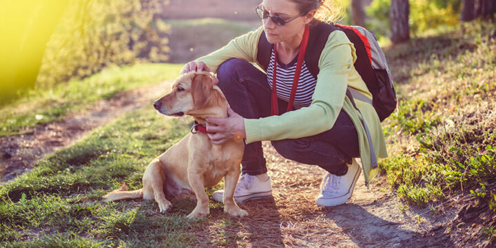 Woman on hike checking for ticks on dog