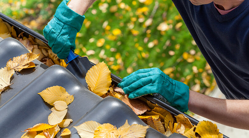 Person cleaning leaves out of gutter of home