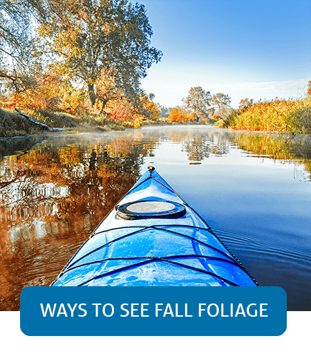 See fall foliage from a new perspective