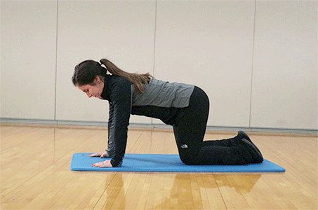 Side view of person performing Bird Dog Exercise on mat