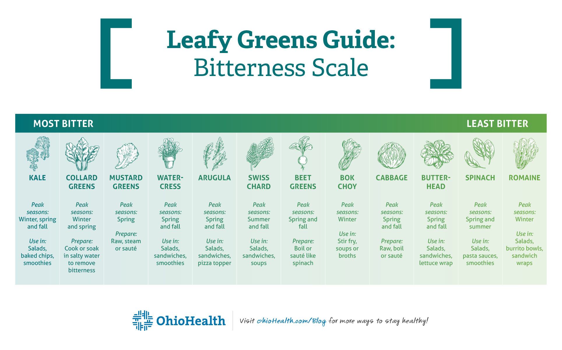 Infographic depicting Leafy Greens Guide Bitterness Scale 