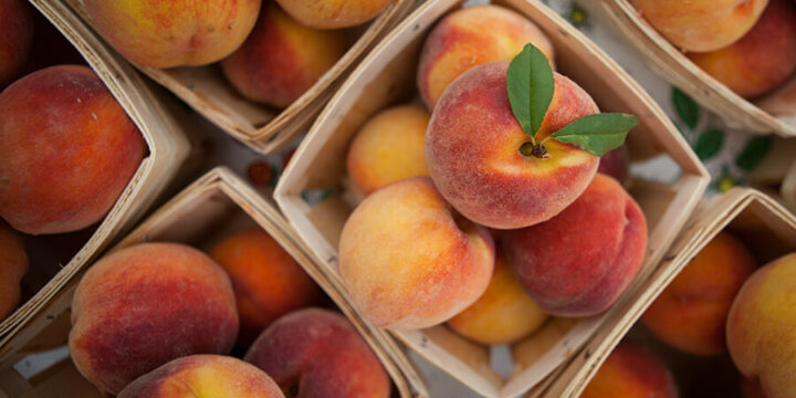 Baskets of peaches