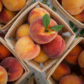 Baskets of peaches