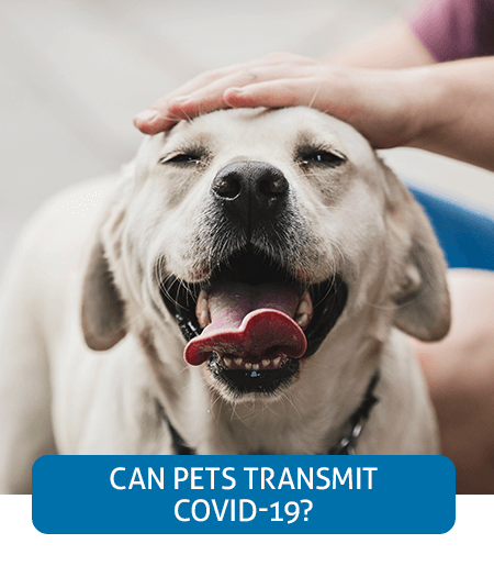 Go to Fast Facts page about pets and COVID-19 Go to Fast Facts page about pets and COVID-19