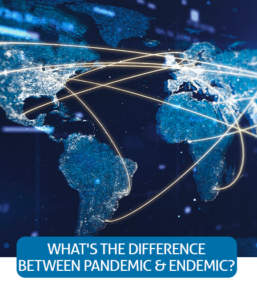Go to Fast Facts page about the difference between pandemic and endemic