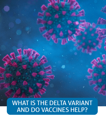 Go to Fast Facts page about the delta variant Go to Fast Facts page about the delta variant