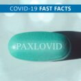 Paxlovid pill