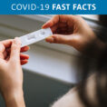 Person holding a home COVID-19 test