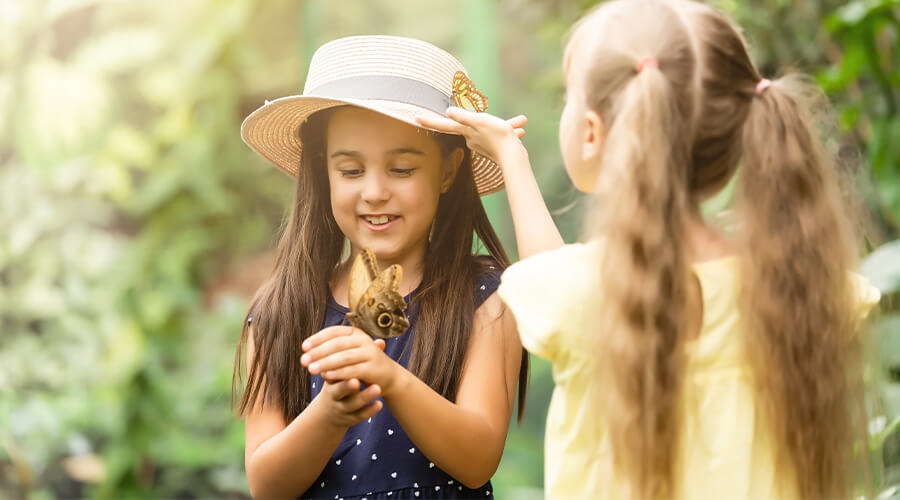 Fun Things to Do in Van Wert, Ohio – OhioHealth