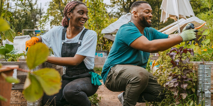 man and woman kneeling while gardening and laughing