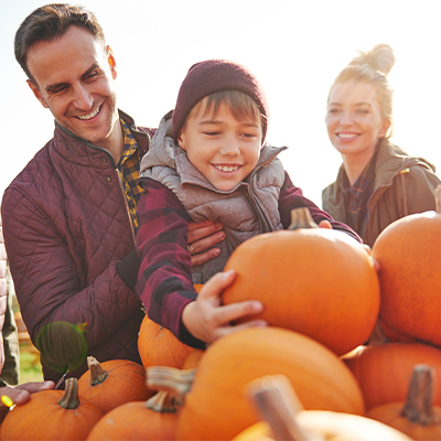 Family picking pumpkins