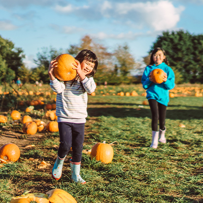 Children picking pumpkins