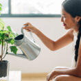 Woman watering houseplant.