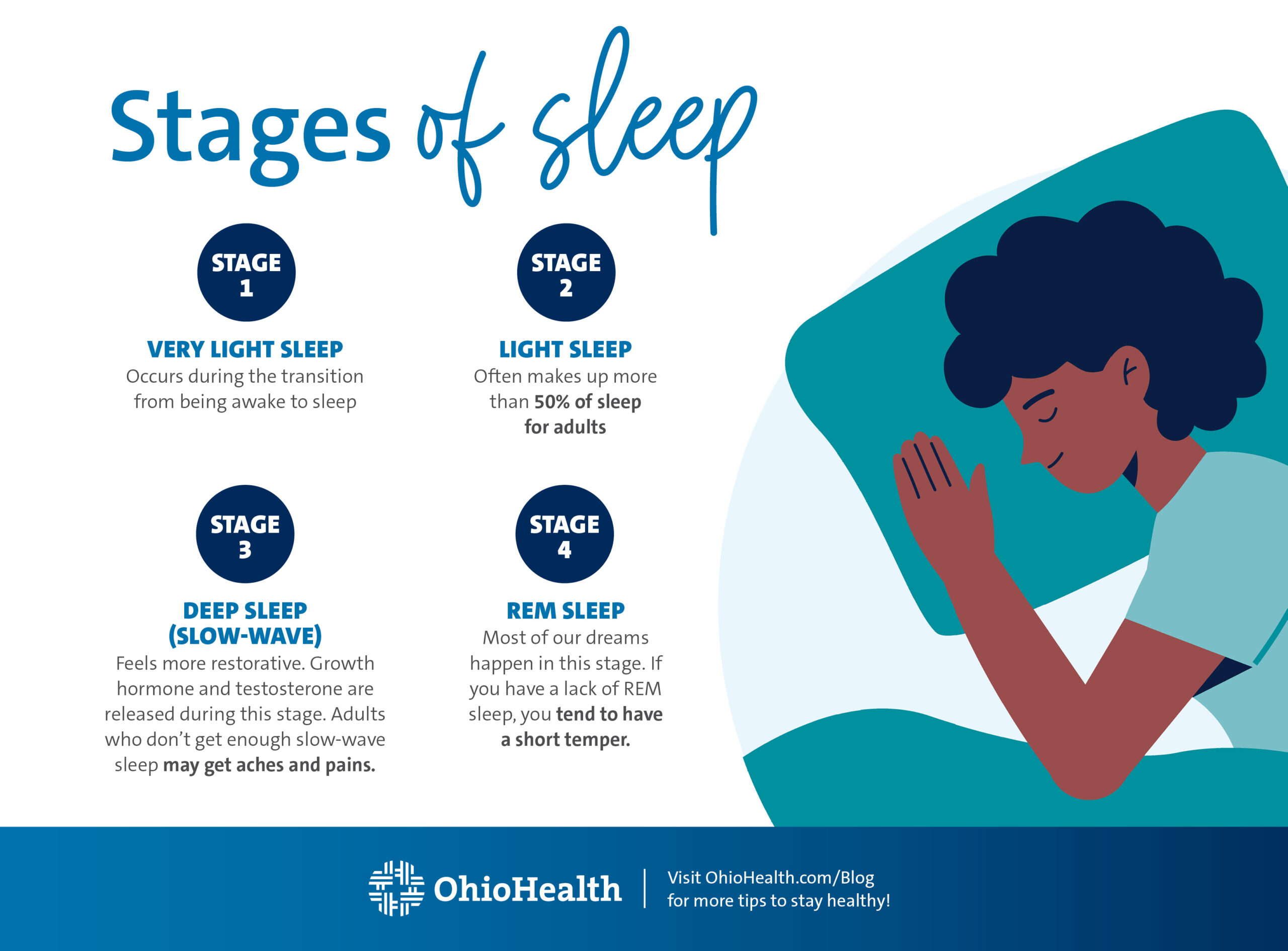 Stages of sleep JPG
